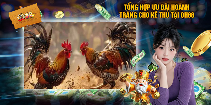 Các ưu đãi QH88 tặng kê thủ chơi đá gà cựa dao